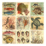Under The Sea II - Giclee Baskı