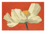 Early Morning Giclee Print by Curtis Parker