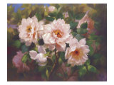 Full Blossom II Giclee-trykk av Bowmy Full Blossom II Giclee-trykk av Bowmy