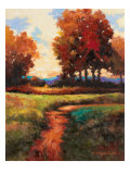 Late Noon Path I Giclee Print by Kanayo Ede