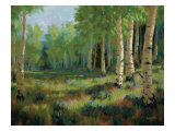 Aspen Meadow Giclee Print by Roger Williams