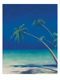 Palm Persuasion ll Giclee Print by Fred Fieber