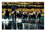 Fall Reflections Impressão giclée por Paul Van Ginkel Fall Reflections Impressão giclée por Paul Van Ginkel