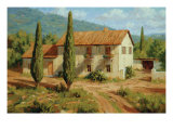 Tuscan Cypress Giclee Print by Roger Williams