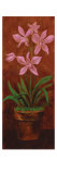Orchid Panel III Giclée-Druck von Lisa Ven Vertloh