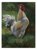 White And Yellow Rooster Lámina giclée por Nenad Mirkovich White And Yellow Rooster Lámina giclée por Nenad Mirkovich