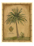 Caribbean Palm III Giclee Print by Betty Whiteaker