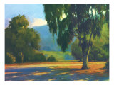 Eucalyptus Sunset Giclee-trykk av Brian Blood Eucalyptus Sunset Giclee-trykk av Brian Blood