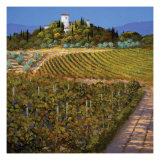 Vinhedos Impressão giclée por Steve Thoms Vinhedos Impressão giclée por Steve Thoms