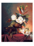 Southern Beauties Giclee Print by Fran Di Giacomo