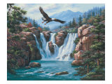 Águila volando Lámina giclée por Sung Kim Águila volando Lámina giclée por Sung Kim