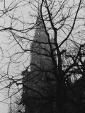 Tree and Church of Gothic Construction, Bern, Swiss Photographic Print by Tomaru Eiichi