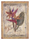 Oiseaux de paradis reproduction procédé giclée par Shari White