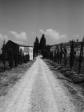 Straight Road in Farm Village, Italy Photographie par Tomaru Eiichi