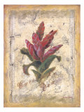 Bromelia reproduction procédé giclée par Shari White