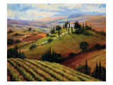 Tuscan Afternoon Giclee Print by Steve Thoms Tuscan Afternoon Giclee Print by Steve Thoms