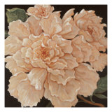 Ivory Peonies reproduction procédé giclée par Janet Kruskamp