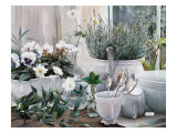Posate Lámina giclée por Danka Weitzen