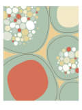 Sea Pod I Giclee Print by Jenn Ski