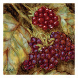 Ripening Berries reproduction procédé giclée par Nicole Etienne