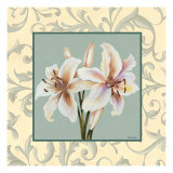 Lillies with Scroll reproduction procédé giclée par Catherine Jones