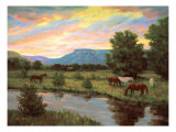 Blue Mesa-Reservoir Giclée-Druck von Roger Williams