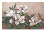 Magnolia Inspiration Giclee Print by Barbara Mock