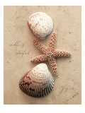 Seaside Collection I Giclee Print by Heather Johnston