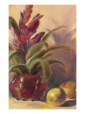 Bromelia Exotica reproduction procédé giclée par Shari White