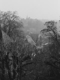 Tree and Old Houses, Bern, Swiss Photographie par Tomaru Eiichi
