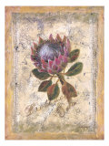 Protée reproduction procédé giclée par Shari White