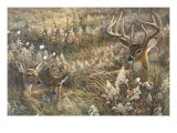 Peaceful Place Lámina giclée por Duane Geisness Peaceful Place Lámina giclée por Duane Geisness