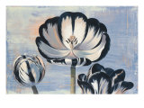 Three Tulips Giclee Print by Curtis Parker