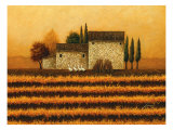 Viñedo en otoño Lámina giclée por Lowell Herrero Viñedo en otoño Lámina giclée por Lowell Herrero