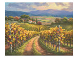 Vineyard Hill I Lámina giclée por Sung Kim Vineyard Hill I Lámina giclée por Sung Kim