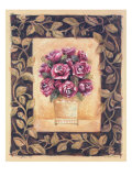 Cabbage Rose reproduction procédé giclée par Shari White