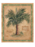 Palm Carpoxylon Giclee Print by Betty Whiteaker