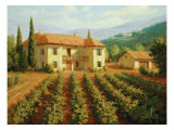 Viñedo toscano Lámina giclée por Roger Williams Viñedo toscano Lámina giclée por Roger Williams