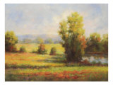 Red Meadow I Giclee Print by Hannah Paulsen