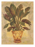 Banana Palm Giclee Print by Shari White