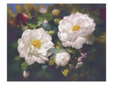 Full Blossom I Giclee-trykk av Bowmy Full Blossom I Giclee-trykk av Bowmy