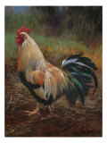 White And Green Rooster Lámina giclée por Nenad Mirkovich White And Green Rooster Lámina giclée por Nenad Mirkovich