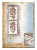 Leaf II Giclee-trykk av Tiffany Budd