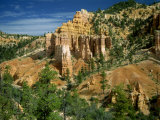 Fairyland in the Bryce Canyon National Park in Utah, USA Photographic Print by Nigel Callow