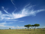 Cloud Formation over Serengeti Landscape Tanzania, East Africa, Africa Photographic Print by Nigel Callow