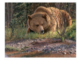 September Grizzly Giclée-Druck von Bruce Miller