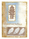 Leaf IV Giclee-trykk av Tiffany Budd
