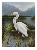 Morning Egret Giclee Print by Kilian 