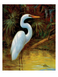 Tropical Egret I Giclee Print by Kilian 