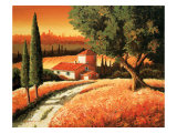 Tuscan Landscape Giclee Print by Santo De Vita